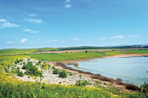 מאגר יער לח"י | צילום: קובי קואנקס מאגר יער לח"י | צילום: קובי קואנקס