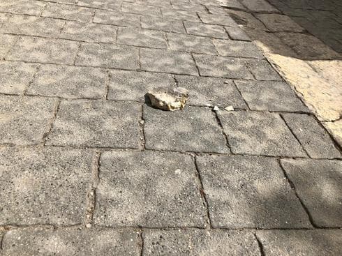 האבן שנזרקה. צילום: לירן תמרי