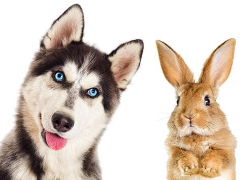 אילוסטרציה. צילום: shutterstock