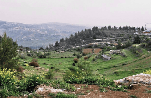 רכס לבן. צילום: דב גרינבלט, החברה להגנת הטבע