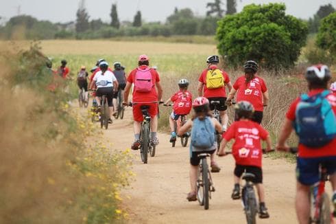 צילום: אסף פרידמן