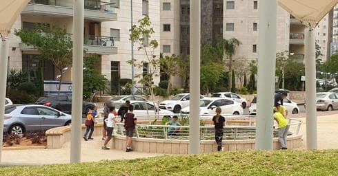 בריכת הדגים ברחובות החדשה | צילום: פרטי