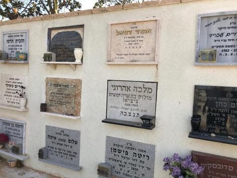 צילום: פרטי