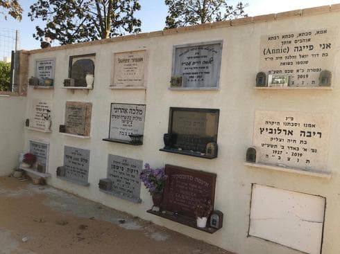 צילום: פרטי
