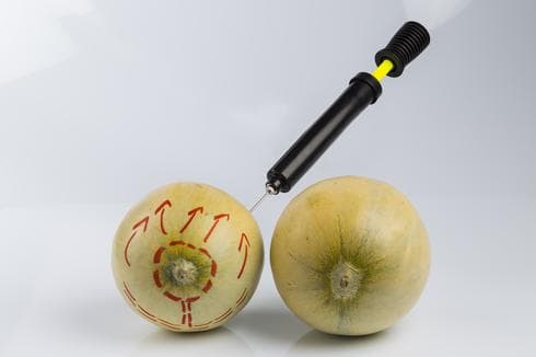 המחשה: shutterstock