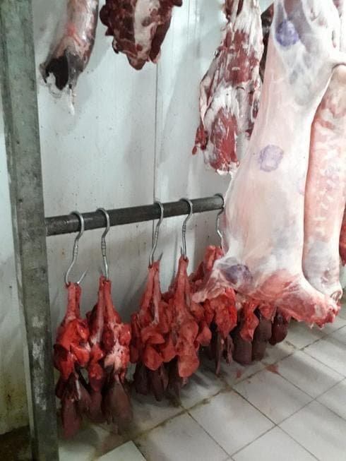 הביקורת באטליז. צילום: דוברות משרד הבריאות