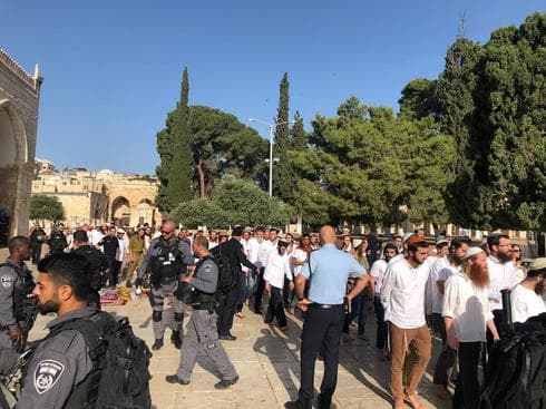 התפרעויות בהר הבית. צילום: דוברות המשטרה