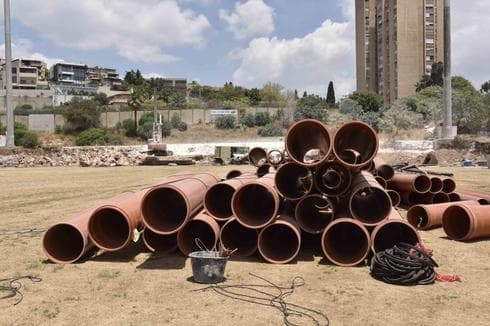 צילום: שרון צור