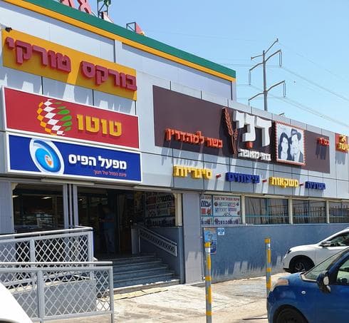 צילום: אשר קשר
