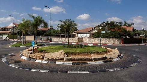 צילום: עידו ארז