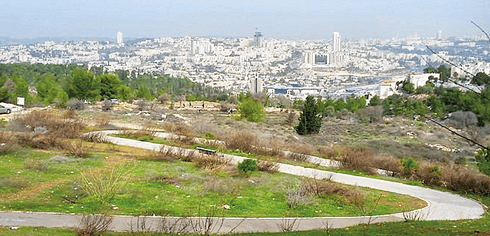 השטח המיודע. צילום: מצגת תוכנית
