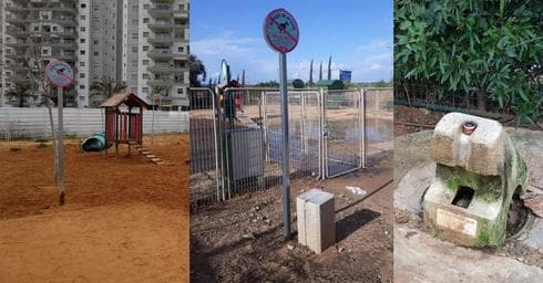 גינות הכלבים בשכונת היובל,פארק המדע ואחוזת הנשיא |צילום: שרון בן ארי