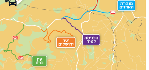האופציות השונות