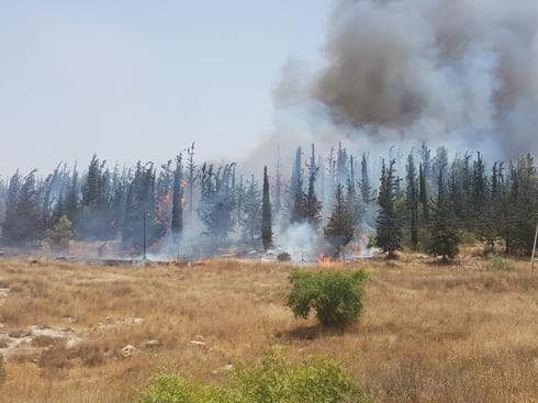 צילום: ניתאי זכריה יערן קק״ל