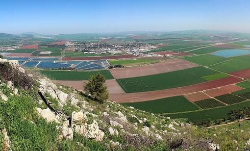 צילום: אורי וול צילום: אורי וול