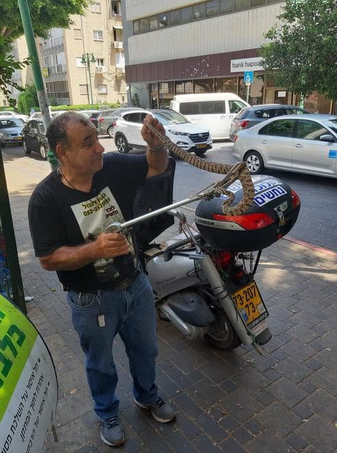 צילום: באדיבות גדעון דעבול