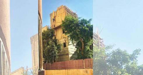 "הפקרות". האתר, השבוע | צילום: פרטי
