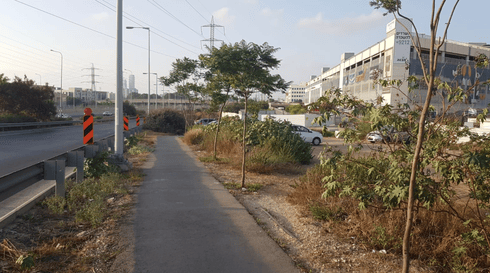 חלק מהאיזור בו יעבור האופנידן ליד משה דיין | צילום: עיריית ראשל"צ חלק מהאיזור בו יעבור האופנידן ליד משה דיין | צילום: עיריית ראשל"צ