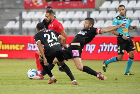 צילום: אפי שריר