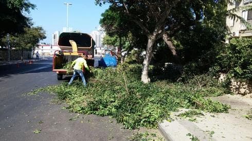 צילום: דוברות עיריית בת ים
