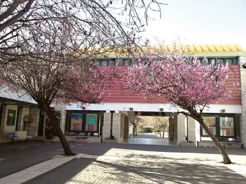 "בחירה חופשית". בית ספר 'דורות'