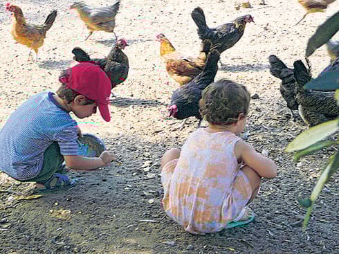 הגן הדו לשוני ביפו | צילום פרטי
