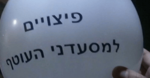 צילום: פרטי