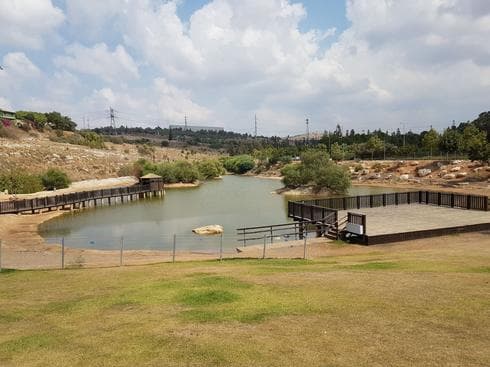 אגם ראש העין