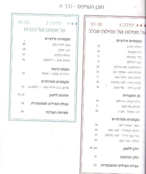 צילום: מססך
