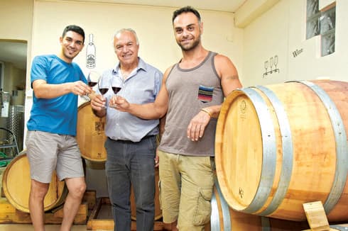    ענאן, ג'ורג' ולואיי. התגייסות משפחתית | צילום: נחום סגל