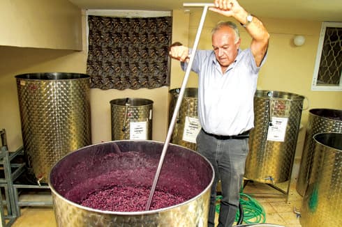 "אני מכוון לנישת אניני הטעם" | צילום: נחום סגל
