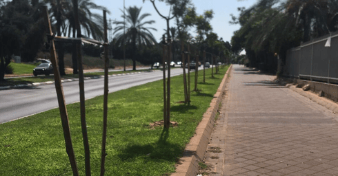 צילום: עיריית כפר סבא