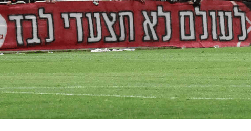 צילום: שרון צור