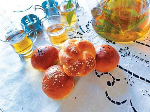 צילום: ריאן
