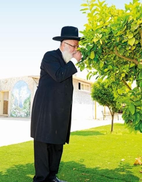 צילום: הרצל יוסף