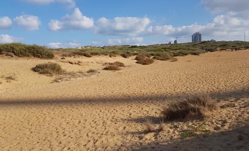שמורת האירוסים. צילום: פרטי