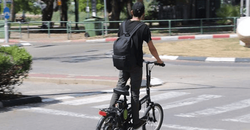 צילום: מוטי קמחי