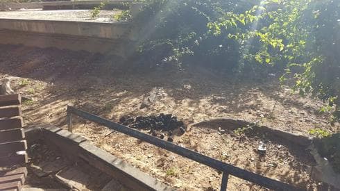 מנגל בגינה הציבורית | צילום: פרטי