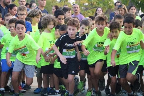 צילום ארכיון: אלתרמנ'ס
