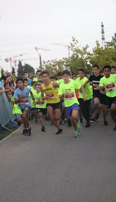 צילום ארכיון: אלתרמנ'ס