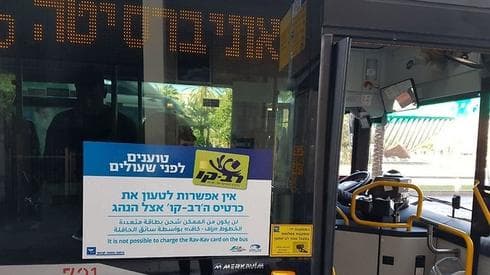 צילום: איתי שיקמן, ynet
