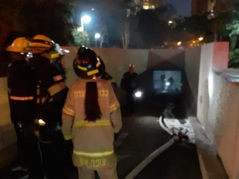 צילום: אלן מלכה