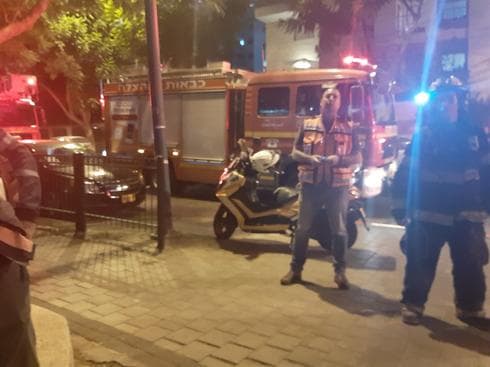 צילום: אלן מלכה