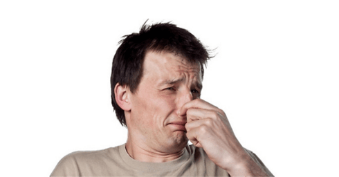 צילום: shutterstock