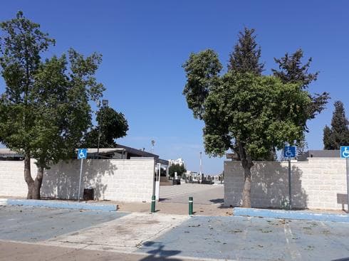 צילום: אביגיל קדם