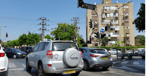 צילום: יעל שרר