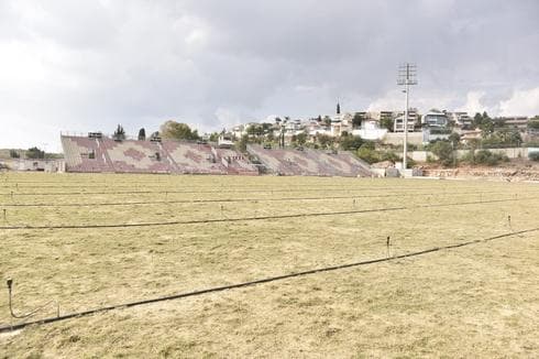 צילום: שרון צור