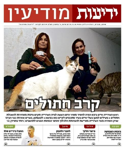 שער 'ידיעות מודיעין'