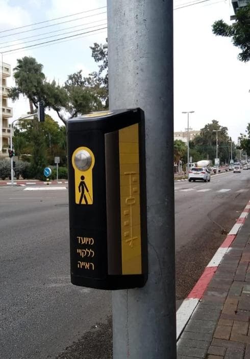 צילום: פרטי