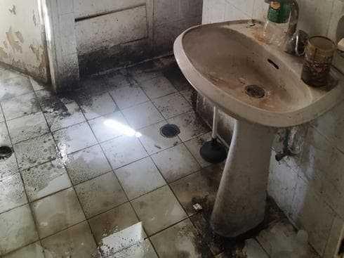 צילום: חנן לוי